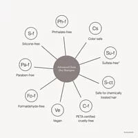 Living Proof Perfect hair Day (PhD) Advanced clean Dry Shampoo 198ml 乾洗粉